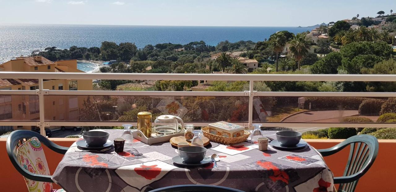 T1 Vue Mer Bord De Mer Ajaccio Аяччо Экстерьер фото