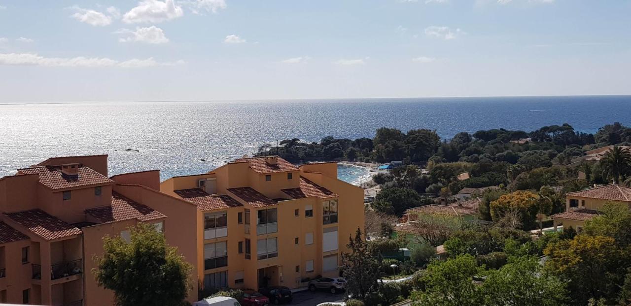 T1 Vue Mer Bord De Mer Ajaccio Аяччо Экстерьер фото